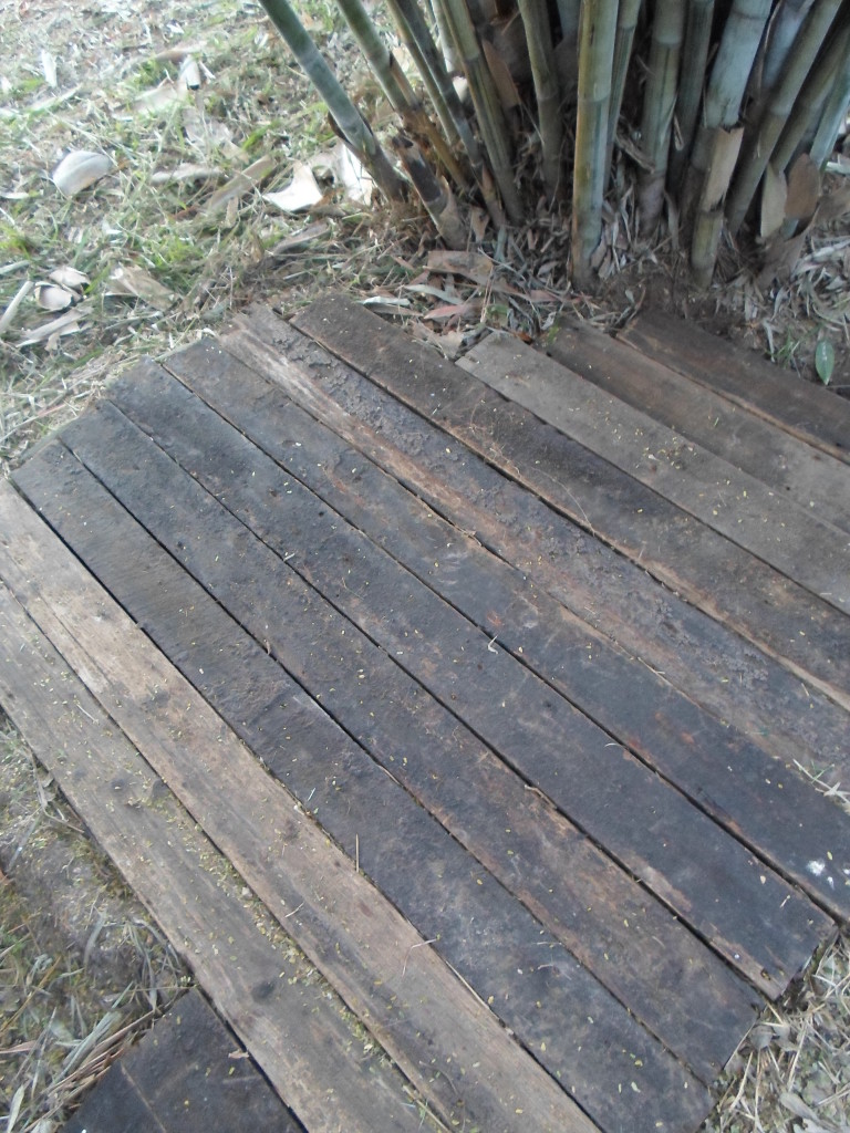 Bamboo Crater With Van Berg Dairy Farm Board Walkway