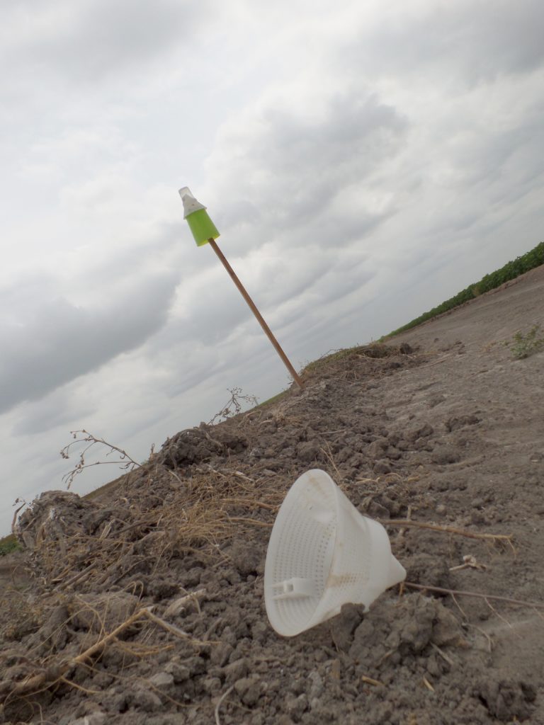 Garbage left behind - just a few feet from a working boll weevil trap.